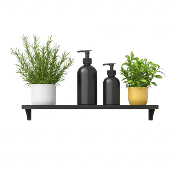 Stylish shelf with black bottles and green plants for modern decor. png