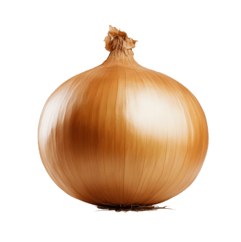 Fresh brown onion with a smooth, shiny surface displayed on transparent background png