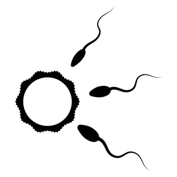 Sperm approaching an egg symbolizing IVF icon symbol illustration vector