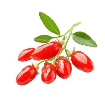 Goji berries with green leaves isolated on a clean white background for healthy food concepts, Goji berries isolated on white background png