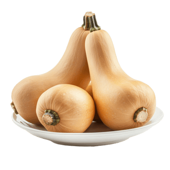 Butternut squash arranged neatly on a white plate with a clean background for a fresh look, butternut squash in a plateisolated on white background png