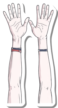 Two Hands Raised High Showing Five Fingers Each png