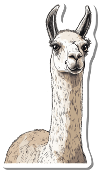 A Charming Llama Portrait Sticker Design png