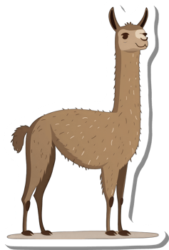 A Brown Llama Stands Against A White Background png