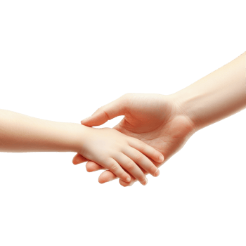 Touching connection between child and adult hands showing love and support, Child and adult human hands isolated on white background. png