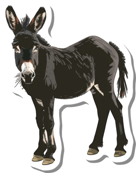 A Dark Colored Donkey Stands Against A White Background png