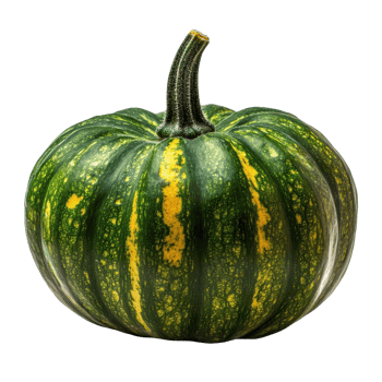 Green pumpkin with stripes isolated on a white background perfect for autumn decorations and culinary uses, Green pumpkin isolated on the white background png
