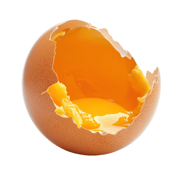 Broken raw chicken egg with bright yolk and shell fragments on a Transparent background, Golden brown fried chicken isolated on background png