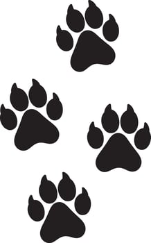 Dog Paw Prints design on white background vector