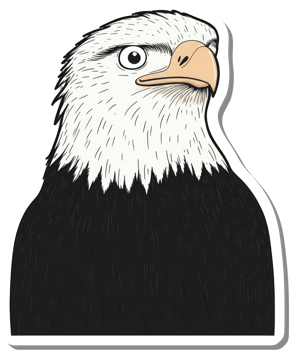 Majestic Bald Eagle Portrait Detailed Illustration png