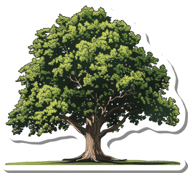 Lush Green Tree Standing Tall In Nature png