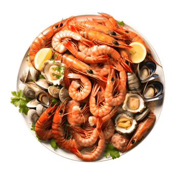 plate of seafood, seafood, seafood, seafood, seafood, seafood, seafood, seafood, seafood png