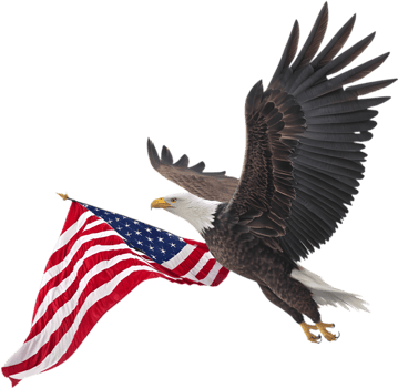 Patriotic bald eagle soaring across the sky for a national logo. . png