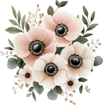 An image of a bouquet of pink and white anemones png