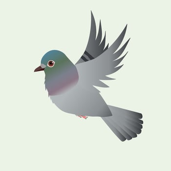 A flying homing pigeon illustration on a light green background vector