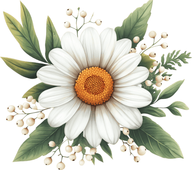 white daisy flower with green leaves png