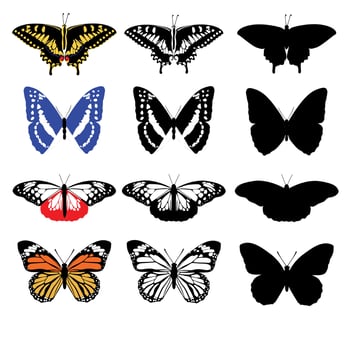 Collection of colorful and silhouettes butterflies. Isolated illustration vector