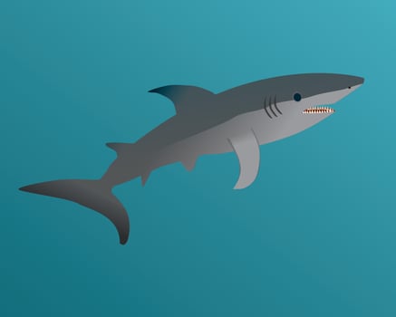 An illustration of a great white shark vector
