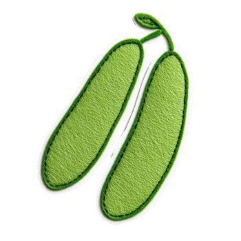 Fresh green pod with a vibrant texture, perfect for nature-themed designs. png