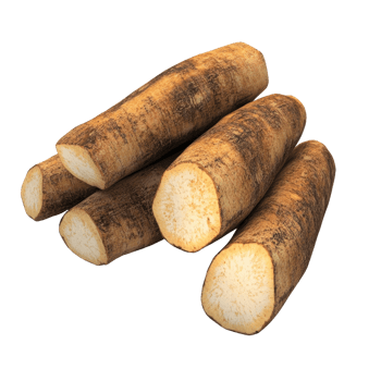 Fresh, raw yam tubers ready for cooking or baking, showcasing their earthy texture. png