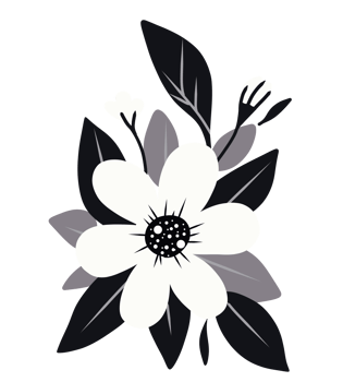 White flowers with black leaf png