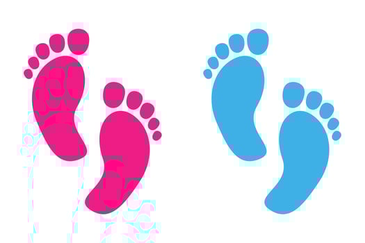 Baby Feet Pink And Blue Icon vector