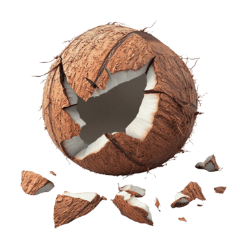 Broken Coconut Shell Showing White Interior Pieces png
