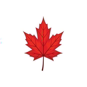 Elegant Red Maple Leaf Illustration for Seasonal Designs vector