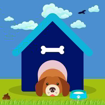 Dog of cartoon inside pet house. Dog Concept Isolated. Dog Cage Cartoon Illustration. vector