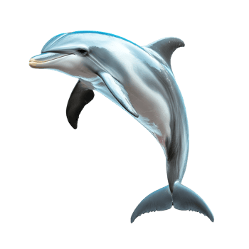 A playful dolphin isolated on a transparent background showcasing its graceful form and joyful demeanor, dolphin isolated on transparent background png