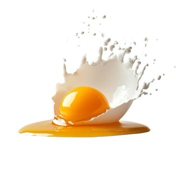 Egg yolk and egg transparent cascading together in an isolated setting for culinary exploration and artistry, Egg yolk and egg transparent falling down isolated png