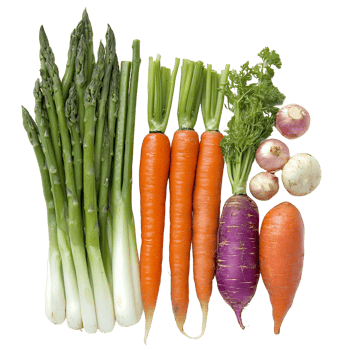 Still Life Arrangement of Fresh Vegetables png