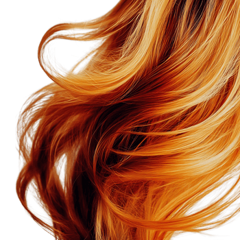 Girl Hair over Transparent Background for Fashion, Hairstyle Inspiration, or Beauty Design Projects png