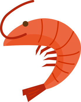a cute orange prawn png