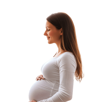 Pregnant woman in profile gently cradling her baby bump against a transparent background, Pregnant Woman Isolated on transparent background png