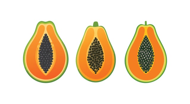A cute Papaya fruit illustration vector