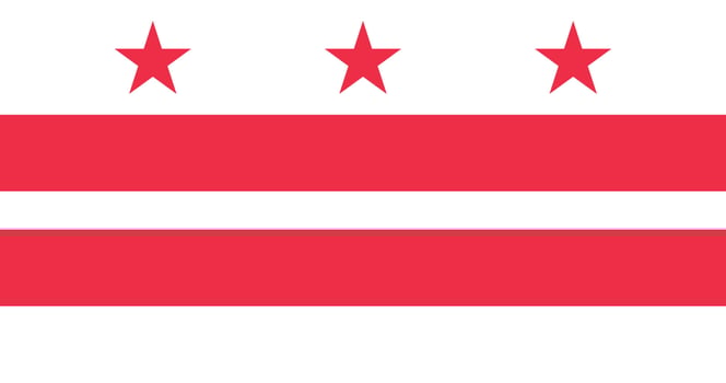 Washington DC Flag Illustration Premium Quality vector