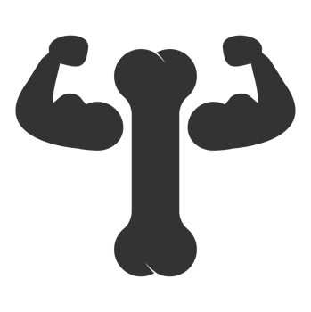 Strong Arm with Muscle Representing Physical Strength and Fitness png