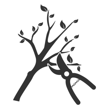 twig scissors icon in dark color and transparent background png