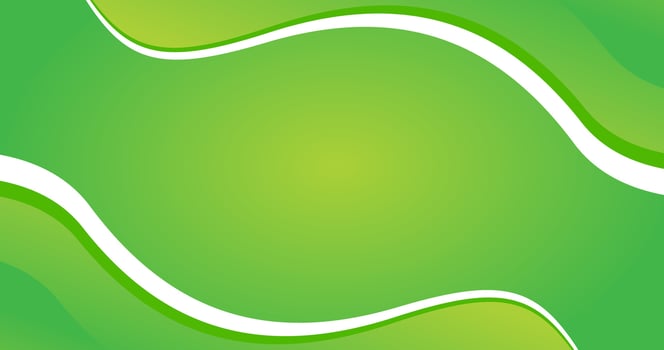 a green gradient and wave white abstract background vector