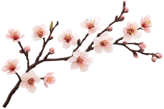 branch of pink flowers png