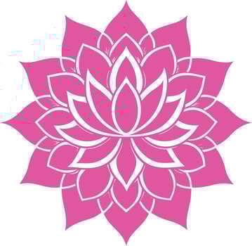 mandala art design vector