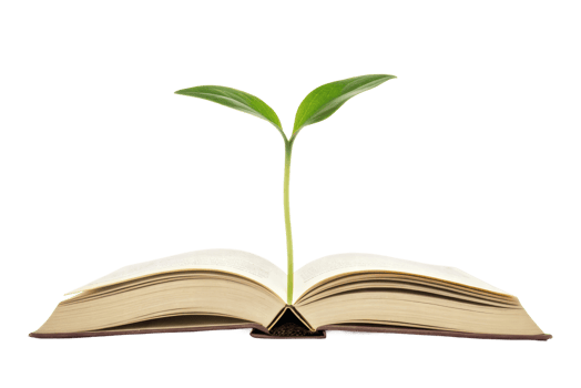 Plant sprouting from an open book png