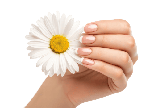 Holding a daisy with a soft manicure png
