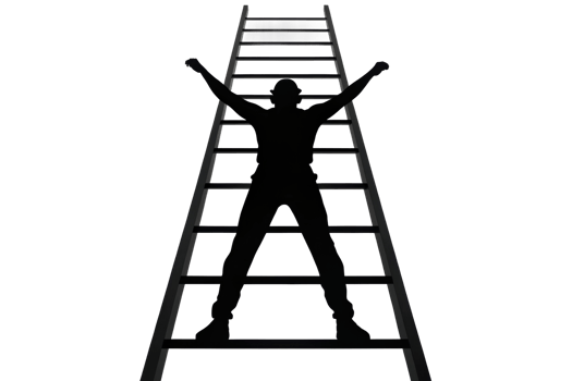 Climbing a ladder and celebrating achievement png
