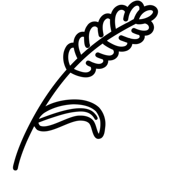 Wheat and leaf png