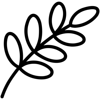 Wheat plant leaf doodle png