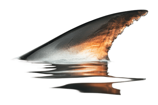 Shark fin breaking the surface of the water png