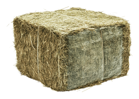 Freshly harvested hay bale ready for storage png