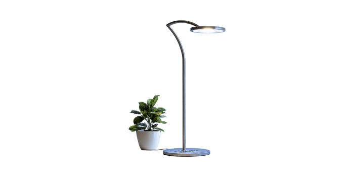 Modern floor lamp with potted plant isolated on transparent background png